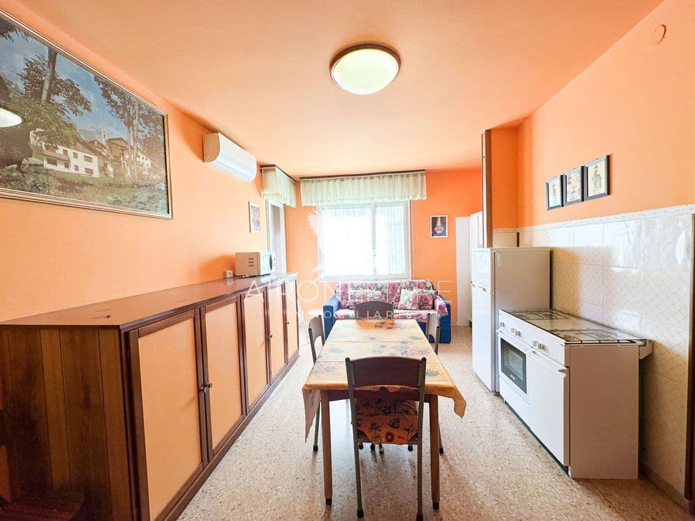 The alternative text...