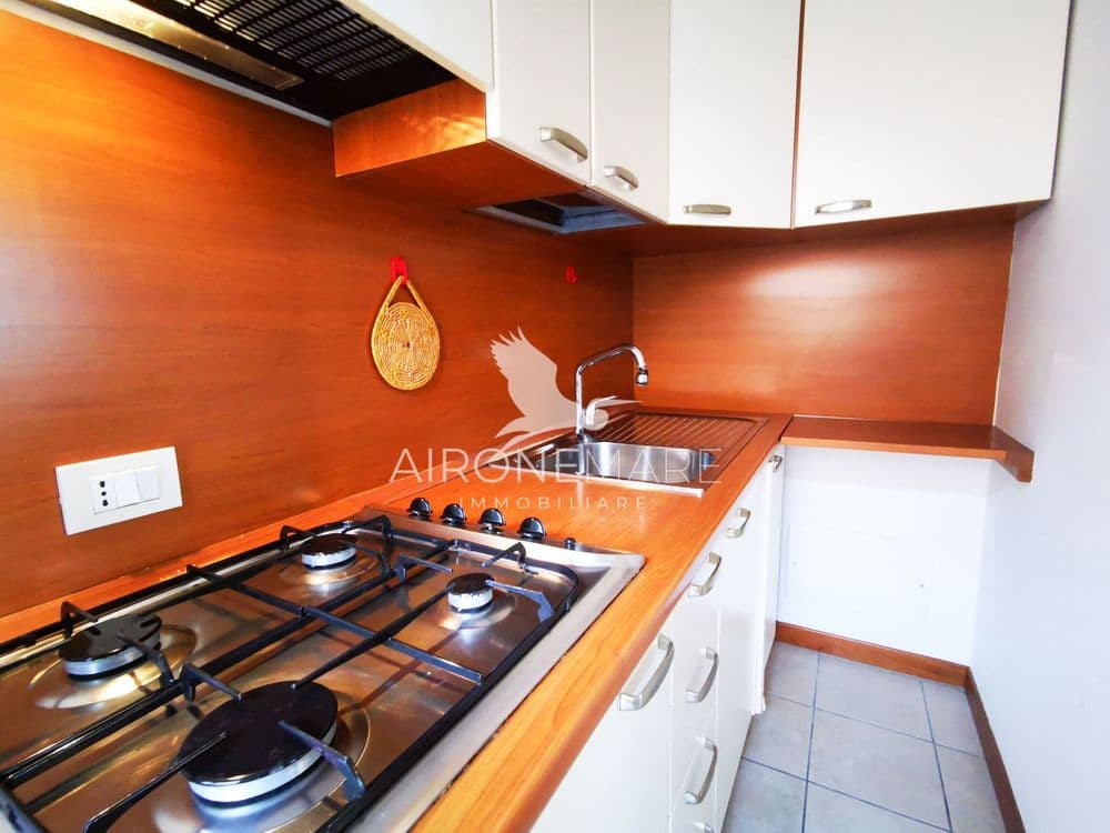 The alternative text...